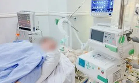 Du khách Đức nguy kịch vì sốc nhiễm khuẩn, suy tim, suy thận: Tình trạng sau 1 tháng điều trị tại Việt Nam gây bất ngờ