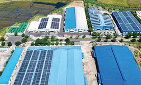 Thêm động lực cho điện mặt trời Việt Nam