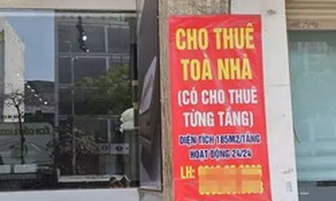 Có nhiều nhà cho thuê, doanh thu trên 1 tỷ đồng/năm nộp thuế ra sao?