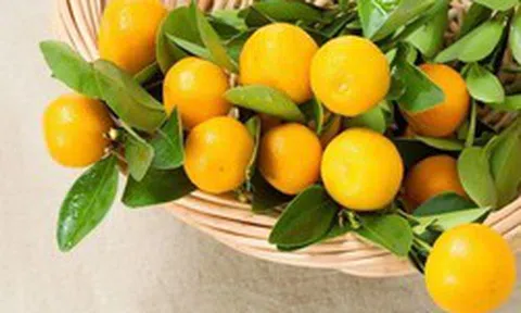5 loại “quả vàng” được ví như cao thủ tiêu đờm: Ăn đúng cách giúp làm sạch phổi, giảm ho, cổ họng dễ chịu