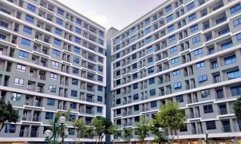 Đà Nẵng: Giá đất tăng vượt nhu cầu ở thực, cao nhất hơn 340 triệu/m2