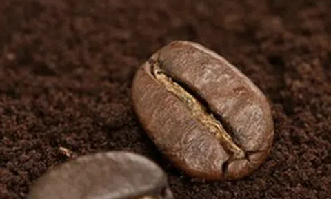 Rắc một nắm bã cà phê quanh gốc cây, điều xảy ra sau đó khiến nhiều người thích thú