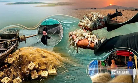 Theo chân người dân "xóm Việt kiều" mưu sinh bên hồ Dầu Tiếng