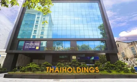 Cổ phiếu THD tăng dựng đứng, Thaiholdings giải trình như nào với cơ quan quản lý?