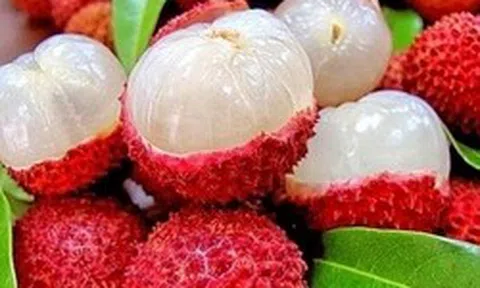Lời khuyên khi mua vải