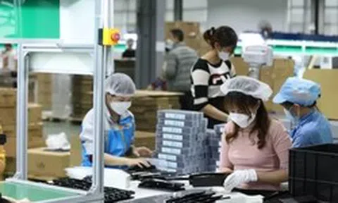 Một năm thông qua 89 luật, cắt giảm hơn 3.000 quy định: Doanh nghiệp nói gì?