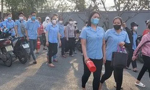 Doanh nghiệp trốn đóng BHXH hết thời "mưu mẹo"