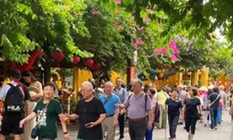 Lý do khách quốc tế đến Việt Nam cao kỷ lục