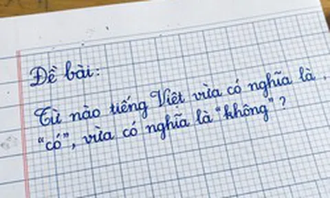 Trong tiếng Việt có một từ vừa là có vừa là không