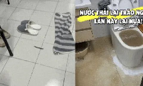 Tôi thà mua căn hộ tầng 4, 14 hay 18 còn hơn chọn 3 tầng này: Chuyển vào ở mới thấy “ác mộng” bắt đầu