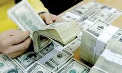 Tổng vốn đầu tư của Việt Nam ra nước ngoài tăng gấp 2,5 lần