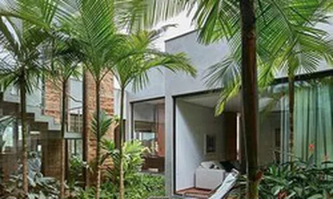 Vì sao người xưa dạy trồng "cau trước, chuối sau"?