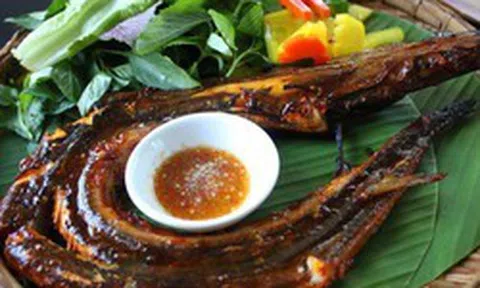 Loại cá có tên "hờn cả thế giới", trả cao nhiều ngư dân vẫn không bán: Siêu giàu omega-3, thịt cực ngọt và thơm ngon