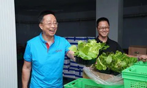 Phát hiện người đàn ông kiếm hơn 31.000 tỷ đồng/năm nhờ kinh doanh rau củ