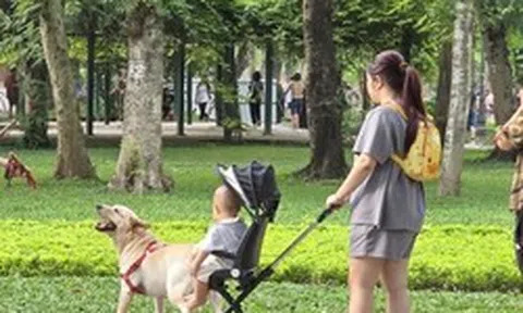 Thông tin quan trọng liên quan đến toàn bộ người nuôi động vật, thú cưng từ 1/8