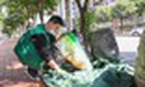 Phát hiện 1 chuyên viên phân tích tài chính bỏ việc kiếm hơn 77 triệu đồng/tháng nhờ thu mua phế liệu
