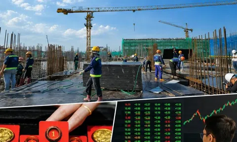 Có tiền nên mua vàng, chứng khoán hay gửi ngân hàng lúc này?