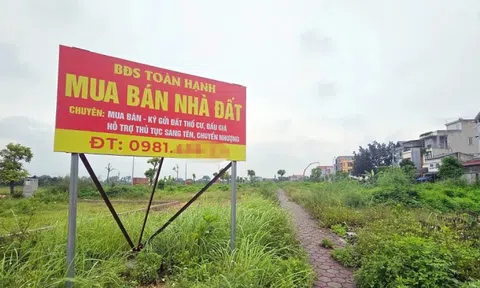 Nhu cầu tìm kiếm bất động sản 'hạ nhiệt'