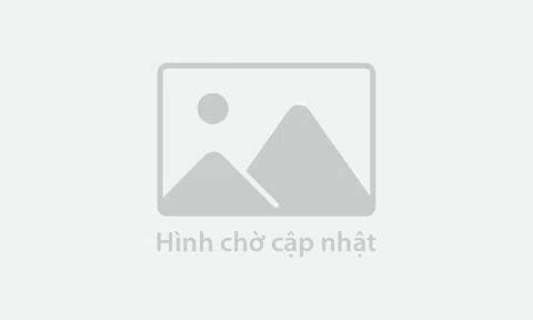 Viettel Post tăng tốc mở rộng hoạt động tại Đông Nam Á