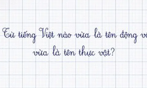 Trong tiếng Việt có một từ vừa là tên động vật vừa là tên thực vật