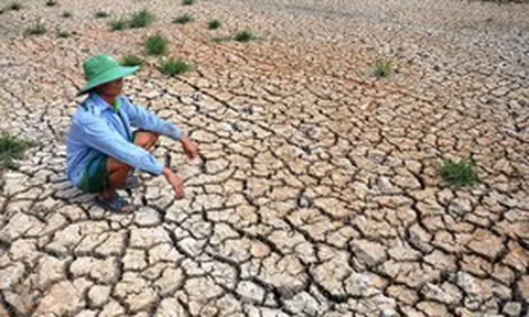 El Nino có thể mạnh như 10 năm trước, Việt Nam đối mặt kịch bản khô hạn ra sao?