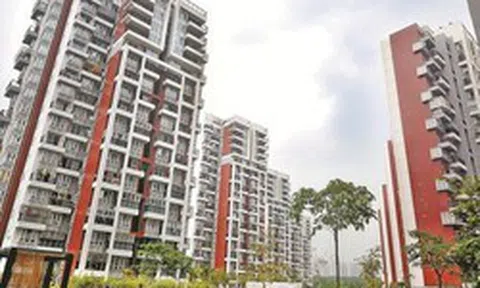 Làm môi giới bất động sản nhưng mua nhà vẫn chật vật: Câu chuyện 3 lần xuống tiền và những bài học đắt giá về thời điểm