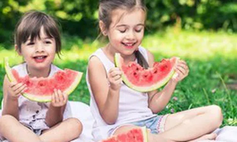 Mùa picnic đến rồi: Tránh ngay 6 sai lầm khiến thực phẩm nhanh biến thành "ổ vi khuẩn" dưới trời nắng nóng