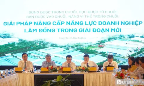 Lâm Đồng hướng tới nâng cao sức cạnh tranh doanh nghiệp, phát triển kinh tế tư nhân bền vững