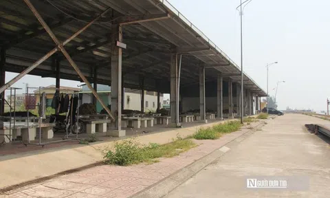 Luồng lạch bồi lắng "bóp nghẹt" cảng cá trăm tỷ