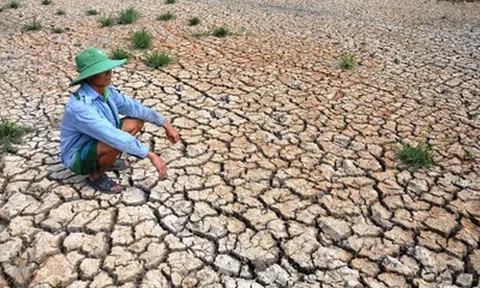 El Nino có thể mạnh như 10 năm trước, Việt Nam đối mặt kịch bản khô hạn ra sao?
