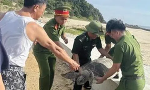 Bắt gặp 'vị khách' quý trong lưới, ngư dân có hành động bất ngờ