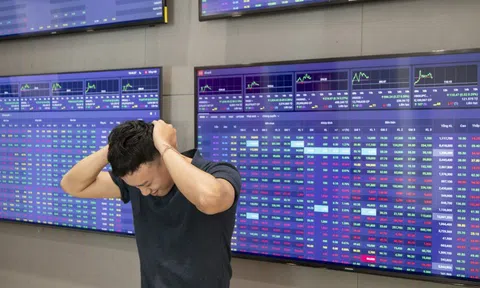 Cổ phiếu Vingroup giảm, VN-Index đi xuống