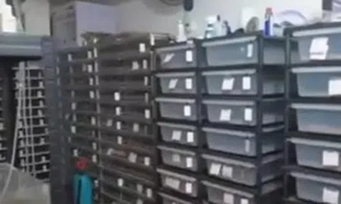 Phát hiện một căn hộ có lượng điện tiêu thụ nhiều bất thường, cảnh sát ập vào, chứng kiến cảnh tượng rùng mình