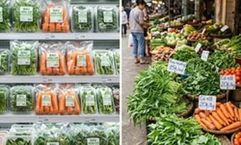 Nên mua rau hữu cơ hay rau thông thường?