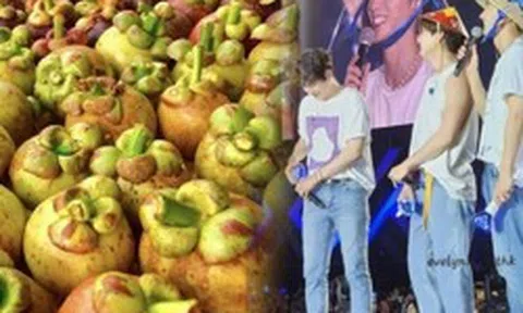 Nữ hoàng trái cây Việt giá 3 triệu/kg khiến khách Hàn lùng sục, làm ông hoàng Kpop mê điên đảo theo