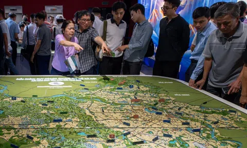 Rộ dịch vụ 'check quy hoạch Thủ đô 100 năm' mất phí trên chợ mạng