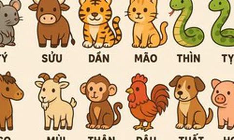 Từ giờ đến cuối năm 4 con giáp đã vượt qua khó khăn, tài lộc mỗi ngày một dồi dào, về đích viên mãn
