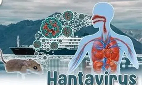 Bộ Y tế lên tiếng về dịch bệnh do virus Hanta
