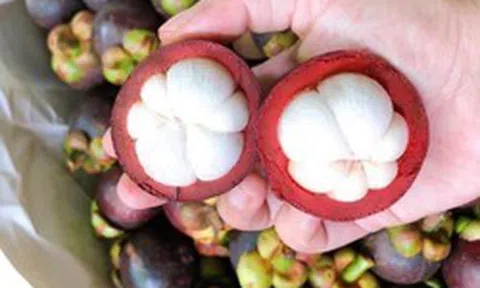 Măng cụt được ví là "nữ hoàng trái cây": Nhiều lợi ích nhưng có 5 nhóm người nên hạn chế ăn