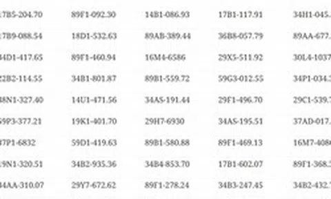 546 chủ xe máy, ô tô mang biển kiểm soát sau khẩn trương nộp phạt nguội theo Nghị định 168 trong danh sách mới nhất