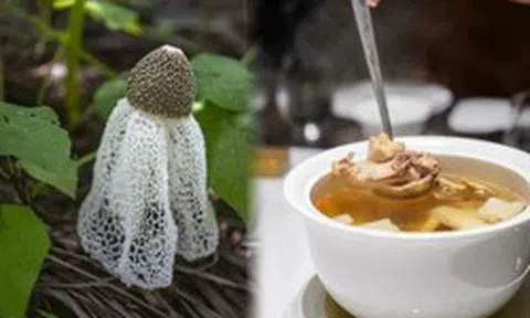Thực phẩm chứa kali gấp 42 lần chuối, hấp hay luộc đều ngon: Nên ăn nhiều vào tháng 7 để hỗ trợ tiêu hóa, bảo vệ gan, giảm mệt mỏi, tăng miễn dịch