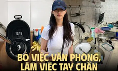 Thu nhập 2,5 tỷ/năm cũng không “níu chân” được dân văn phòng: Đi làm giúp việc lương thấp mà sướng hơn?
