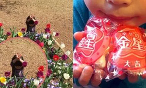 Cậu bé "giả làm hoa tulip để trốn tìm" nổi tiếng khắp thế giới ngày ấy giờ ra sao?