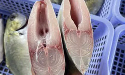 3 loại cá nhiều thịt ít xương, đang vào "mùa vàng" ở chợ