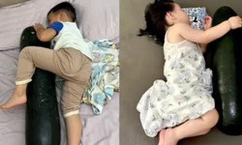 Ngủ với quả bí đao đang trở thành trào lưu gây sốt MXH: Bác sĩ tiết lộ 1 điều ít ai ngờ đến
