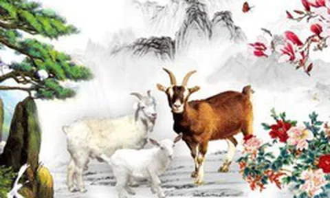 Top 5 con giáp dễ đổi vận nhất nửa cuối năm: Càng lên hạng cao, cơ hội bứt phá càng lớn