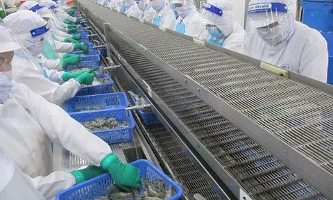 Cảnh 'bi đát' của công ty đầu tiên báo lỗ quý II