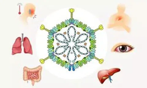 Adenovirus tăng gấp 3 lần, cảnh báo nguy cơ lây nhiễm từ bể bơi công cộng