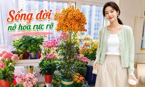 Chỉ mất 1 năm, người phụ nữ trồng cây sống đời thành "cây cổ thụ" cao gần 1 mét, nở hoa kín tán: Bí quyết hóa ra lại rất đơn giản