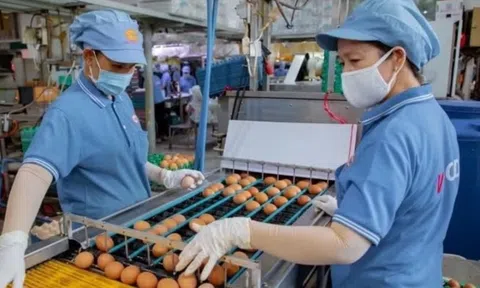 Doanh nghiệp lao đao vì lãi vay neo cao